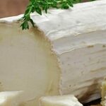 Козий сыр по французским технологиям начнут производить в Казахстане