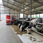Как работает «умная» молочная ферма