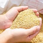 Инновационное производство комбикорма из жидкой зерновой патоки наладят в Казахстане