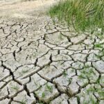 Аграрии Отырарского района опасаются приближающейся засухи
