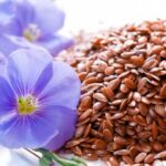 Ожидается существенное увеличение мирового производства и предложения льна – эксперт