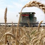 За форвардные контракты казахстанские фермеры получат 60 млрд тенге – Продкорпорация