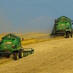 Smart-фермы внедряют в Кызылординской области