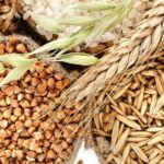 Продкорпорация объявила о прямом закупе всех классов пшеницы и ячменя