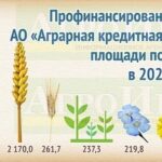 Инфографика «Профинансированные по линии АО «Аграрная кредитная корпорация» площади под культурами в 2021 г.»