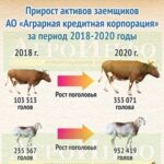 Инфографика «Прирост активов заёмщиков АО «Аграрная кредитная корпорация» за период 2018-2020 годы»
