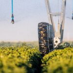 CT AGRO: правила орошения картофеля с использованием машин Valley