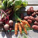 Как не допустить удорожание картофеля и моркови в Казахстане?