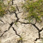 Засуха надвигается на северные регионы Казахстана
