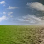 Экстремальная засуха в июле ожидается в четырёх регионах Казахстана