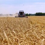 Ожидаемый объём производства зерна позволит не только обеспечить нашу страновую продовольственную безопасность, но и сохранить позиции на экспортных рынках – Е. Карашукеев
