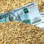 Зерно в РФ дешевеет, а затраты на озимый сев растут