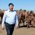 Как с нуля создать успешный сельхозбизнес в Казахстане – история кандаса Сыдыка Даулетова