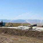 В эффективности дождевального орошения убеждаются аграрии Туркестанской области