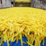 Картофель фри и осетровую икру будут производить в Акмолинской области