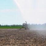 Как избежать водного коллапса в сельском хозяйстве Казахстана
