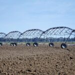 Кнут и пряник – фермеров будут стимулировать к использованию водосберегающих технологий