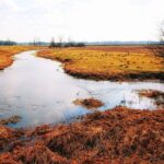 Пересыхание рек в Атырауской области грозит экологическими и социальными проблемами – депутат