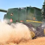 Рекордный урожай зерновых планируют собрать в Павлодарской области