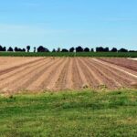 Фермеры ВКО подвергли критике систему космомониторинга земельных участков