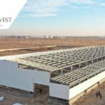 На севере Казахстана появится инновационный тепличный комплекс