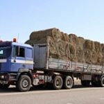 Правила проверки грузового автотранспорта намерены дополнить