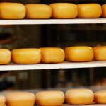 Костанайцы будут производить сыр, который составит конкуренцию голландскому