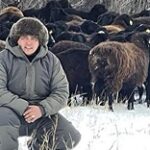 Выйти на мировой рынок с казахстанскими породами овец готовится фермер из Костаная