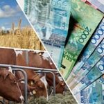 Почему сельхозсубсидии, получаемые казахстанскими фермерами, уходят за рубеж?