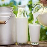 На 20% подорожало молоко в Казахстане