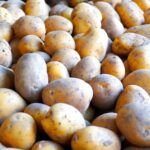 В России разработали инновационную линию сортировки картофеля