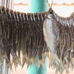 Правила рыбалки просят пересмотреть балхашские промысловики