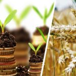 На финансирование аграриев области Жетысу предусмотрено 750 млрд тенге