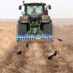 Актюбинские фермеры увеличивают посевы засухоустойчивых масличных и кормовых культур