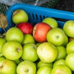 Частичный запрет на импорт яблок просят ввести садоводы страны