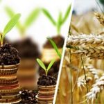 Ассоциация фермеров: Создание агробанка решит проблемы кредитования фермеров