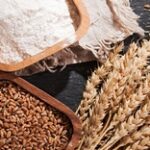 Птицеводы и мукомолы Казахстана против запрета экспорта пшеницы из России