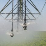 Олжас Бектенов поручил создать региональные штабы по управлению водными рисками на вегетационный период