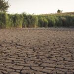 Засуха ожидается в трёх регионах Казахстана в июне