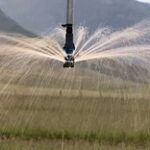 Новая дождевальная система полива используется в Туркестанской области