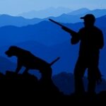 Законодательно урегулировать возврат государству неиспользуемых охотничьих угодий предложил сенатор