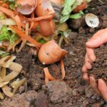 Перегной из пищевых отходов начнут производить осенью в Акмолинской области