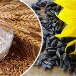 МСХ установило квоты на экспорт пшеницы, муки и семечки