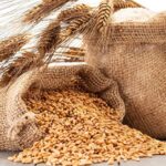 Рост цен может спровоцировать внедрение сопроводительных накладных на зерно