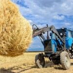 Фермеры Павлодарской области смогут купить корма дешевле