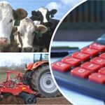 Спасут ли фермера субсидии?