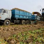 В Жетысу аграрий приобрёл 12 дождевальных установок для выращивания сахарной свёклы