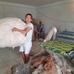 Цех по переработке шерсти открыла сельчанка в Атырауской области
