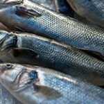 16 млрд тенге выделят на развитие рыбного хозяйства в Атырауской области