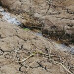 Свыше 100 крестьянских хозяйств в Сарысуском районе испытывают дефицит воды